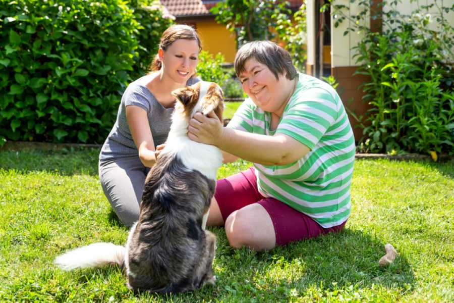 MediStays NDIS participant with a second woman and a companion dog, concept learning by animal assisted living